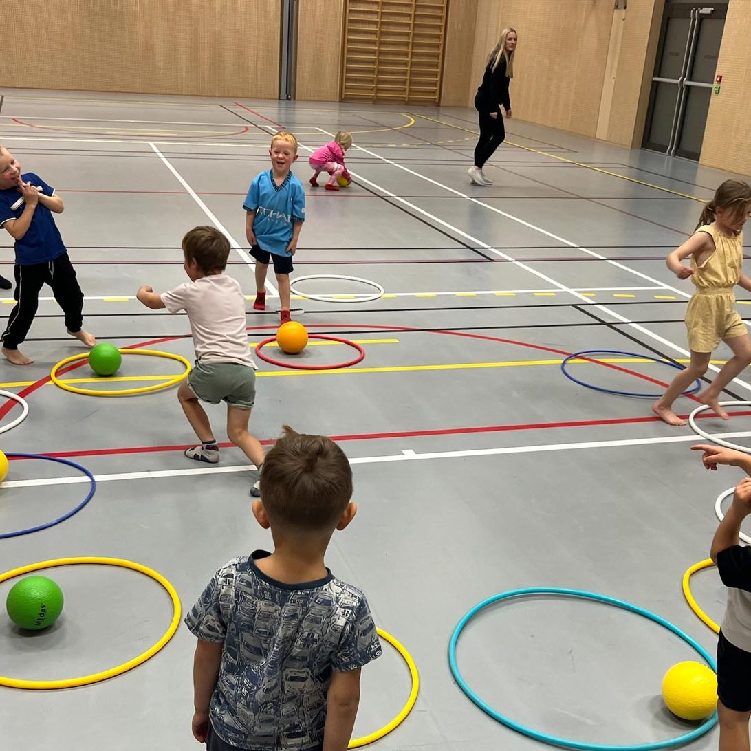 allidrett-brusand-il